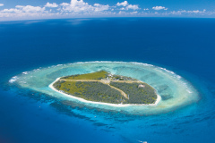 Lady Elliot Island