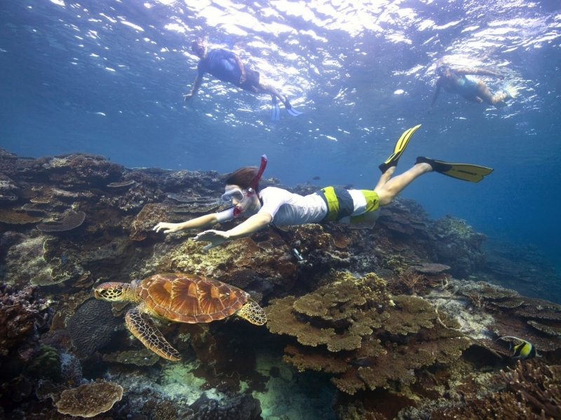 Snorkelling-with-turtle-Tourism-Australia