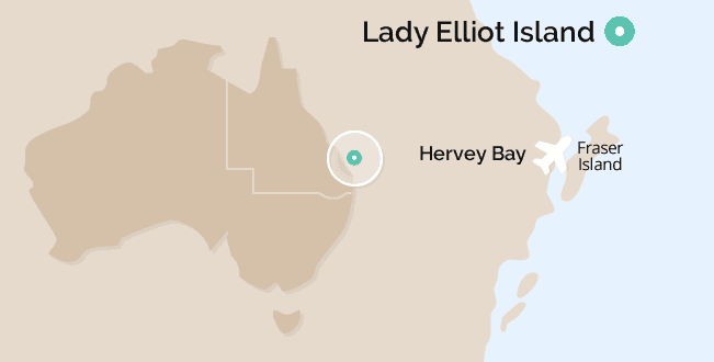lady elliot island tours from hervey bay
