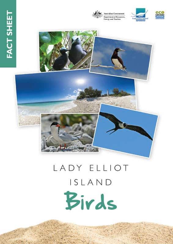 Birds Fact Sheet