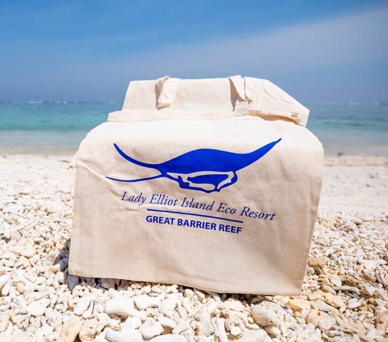 mantaray beach bag