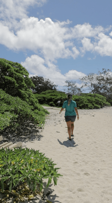 Lady Elliot Island Virtual Tour - Flora & Fauna