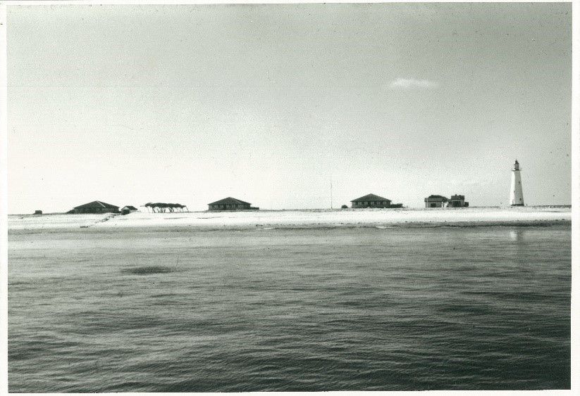 Lady Elliot Island barren of vegetation circa 1969