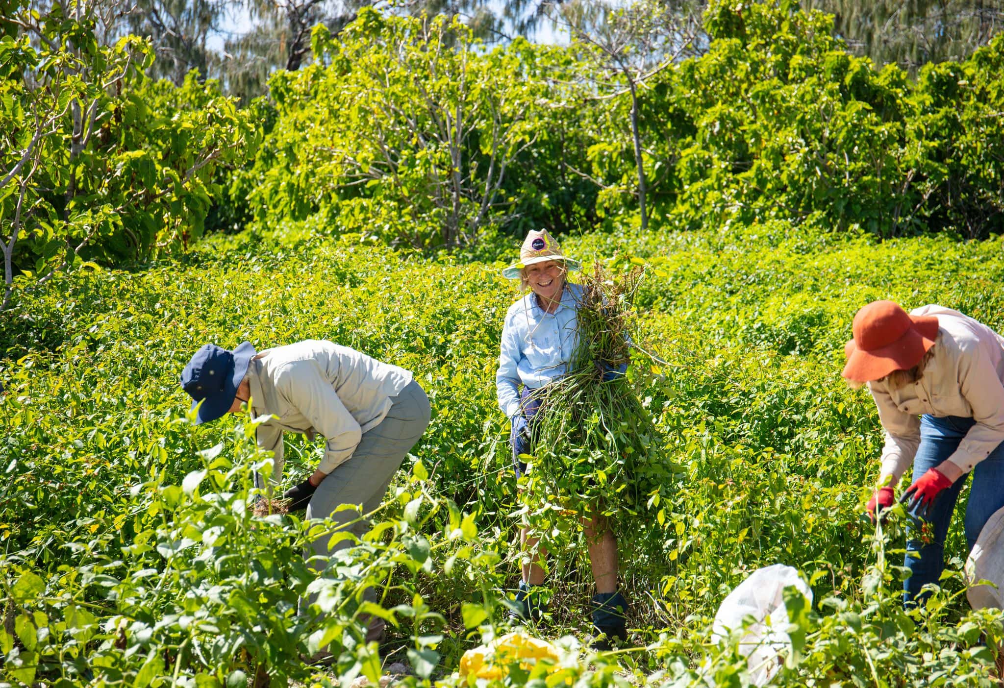 Lady Elliot Island Volunteers