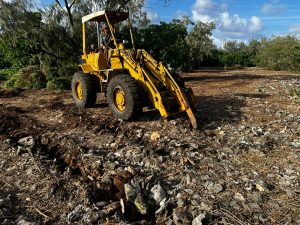 Loader ripping trenches for planting in North West zone on Lady Elliot Island