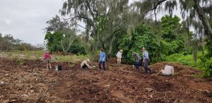 Volunteers planting in North West Zone