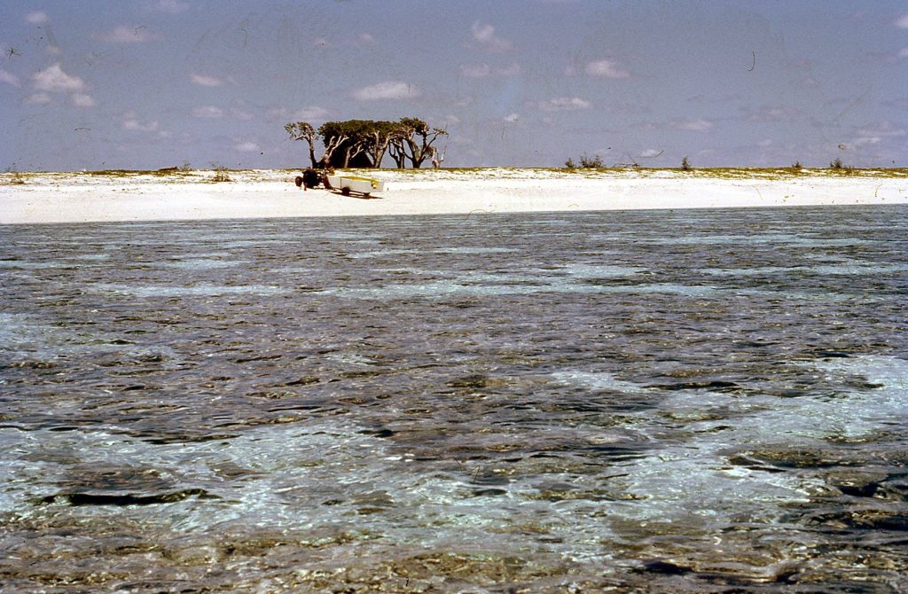 Lady Elliot Island Lagoon beach circa 1969