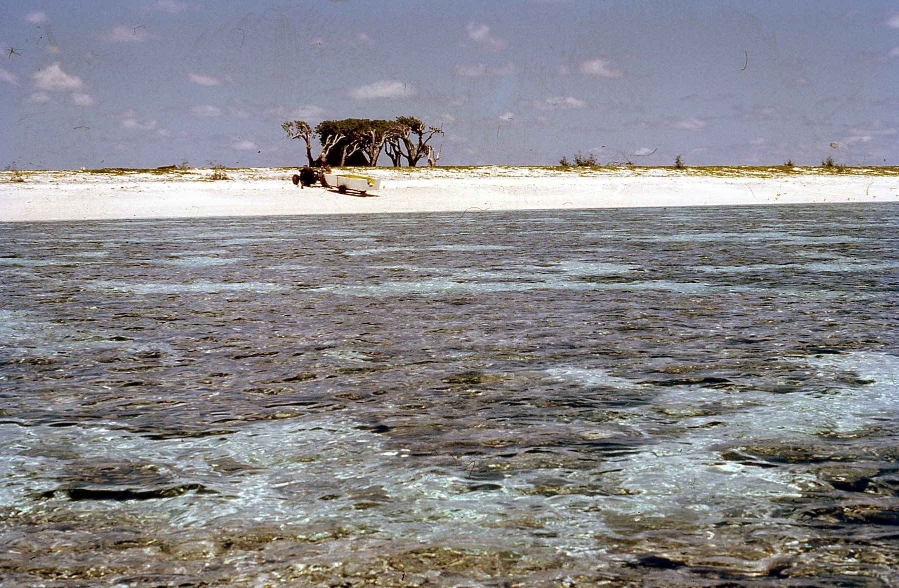 Lady Elliot Island Lagoon beach circa 1969