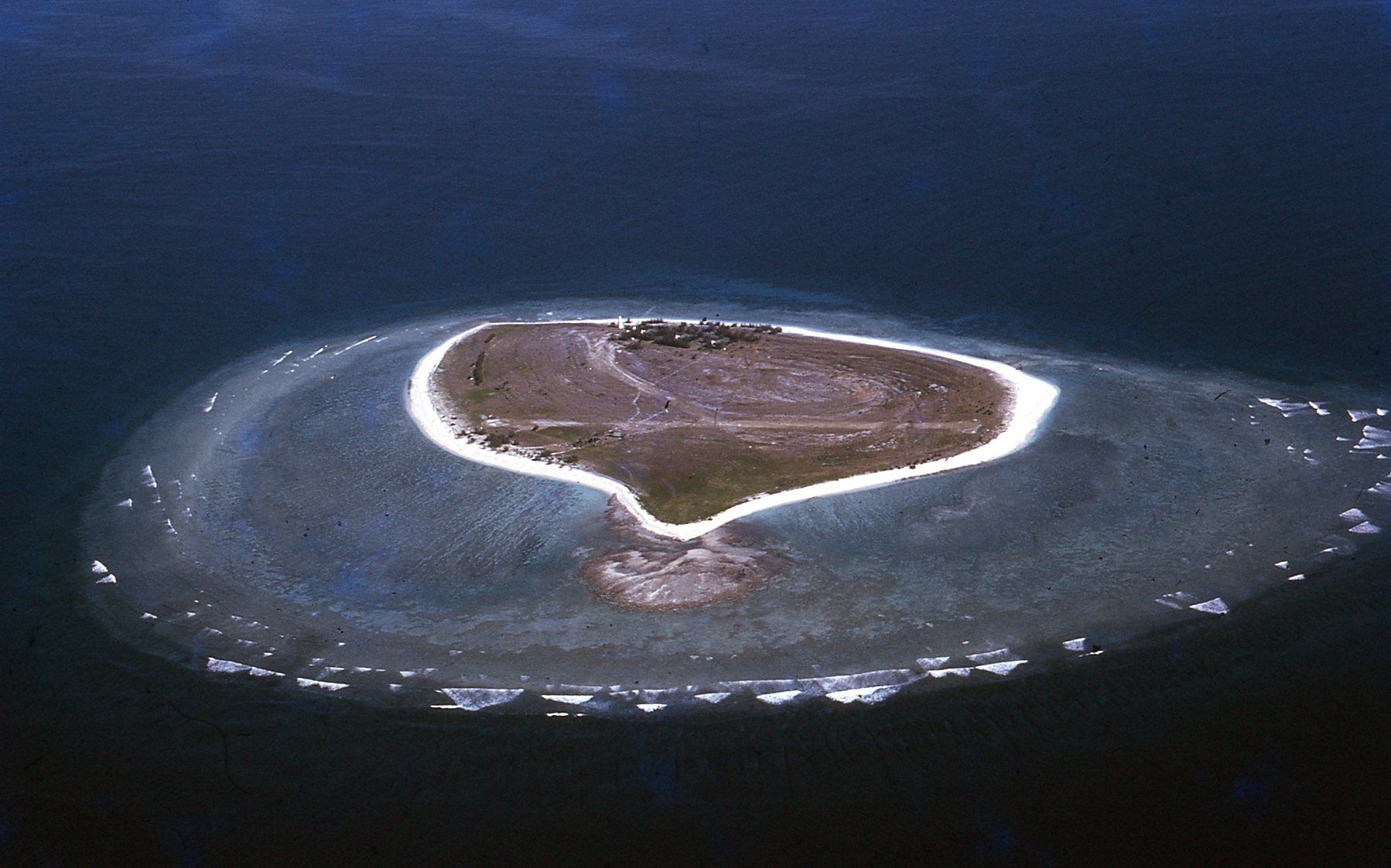 Birds eve view of Lady Elliot Island circa 1969