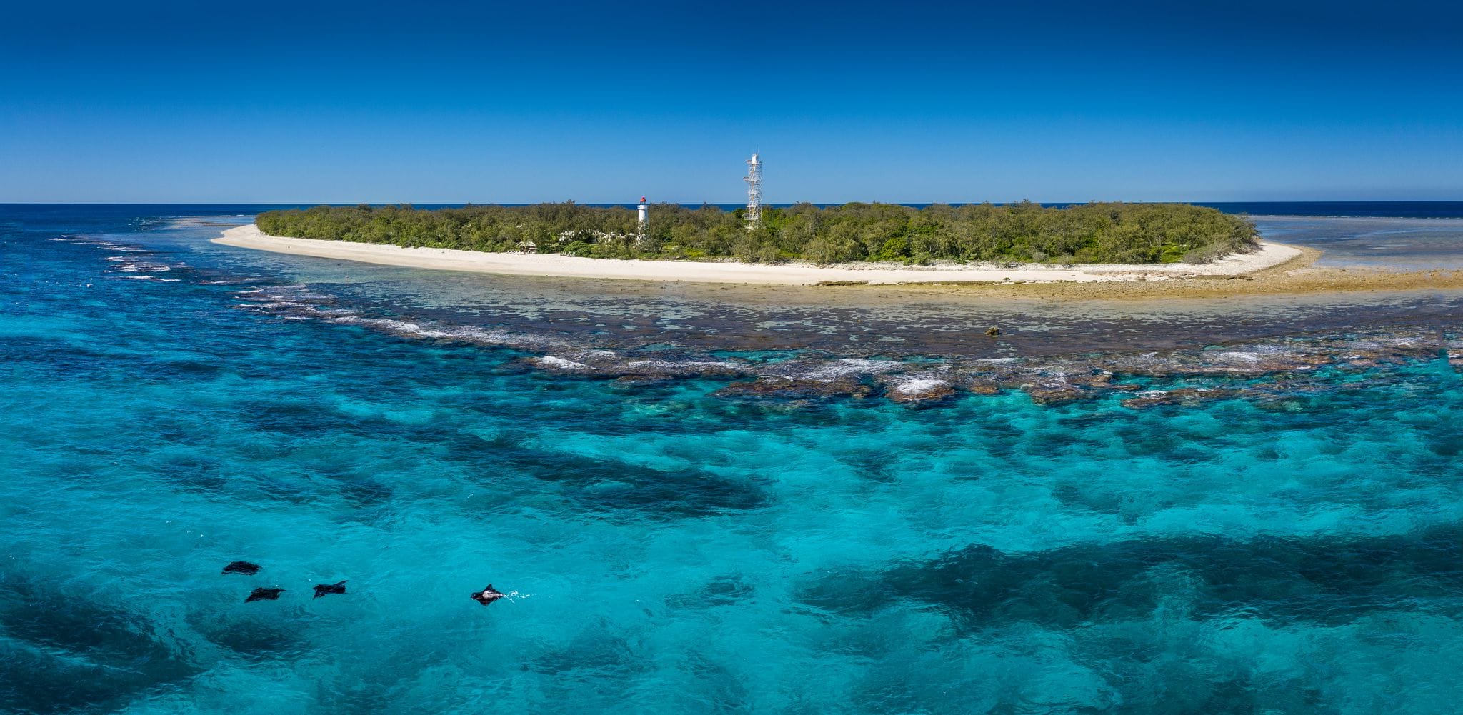Lady Elliot Island with Manta Rays captured by Ben Andryc