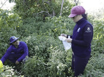 Groundwater sampling investigating links between island revegetation and water health