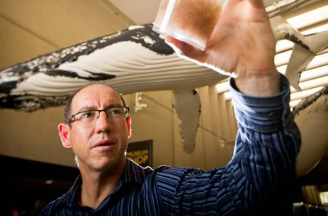 Prof Anthony Richardson