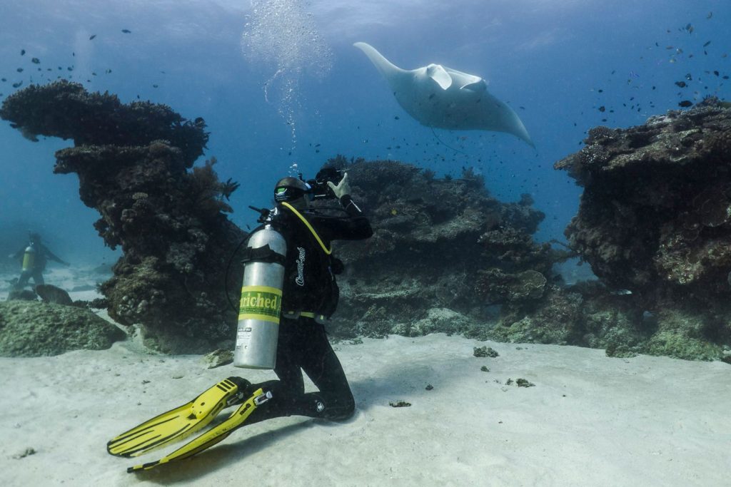 Scuba diver photographing manta ray (photo credit Amelia Armstrong)