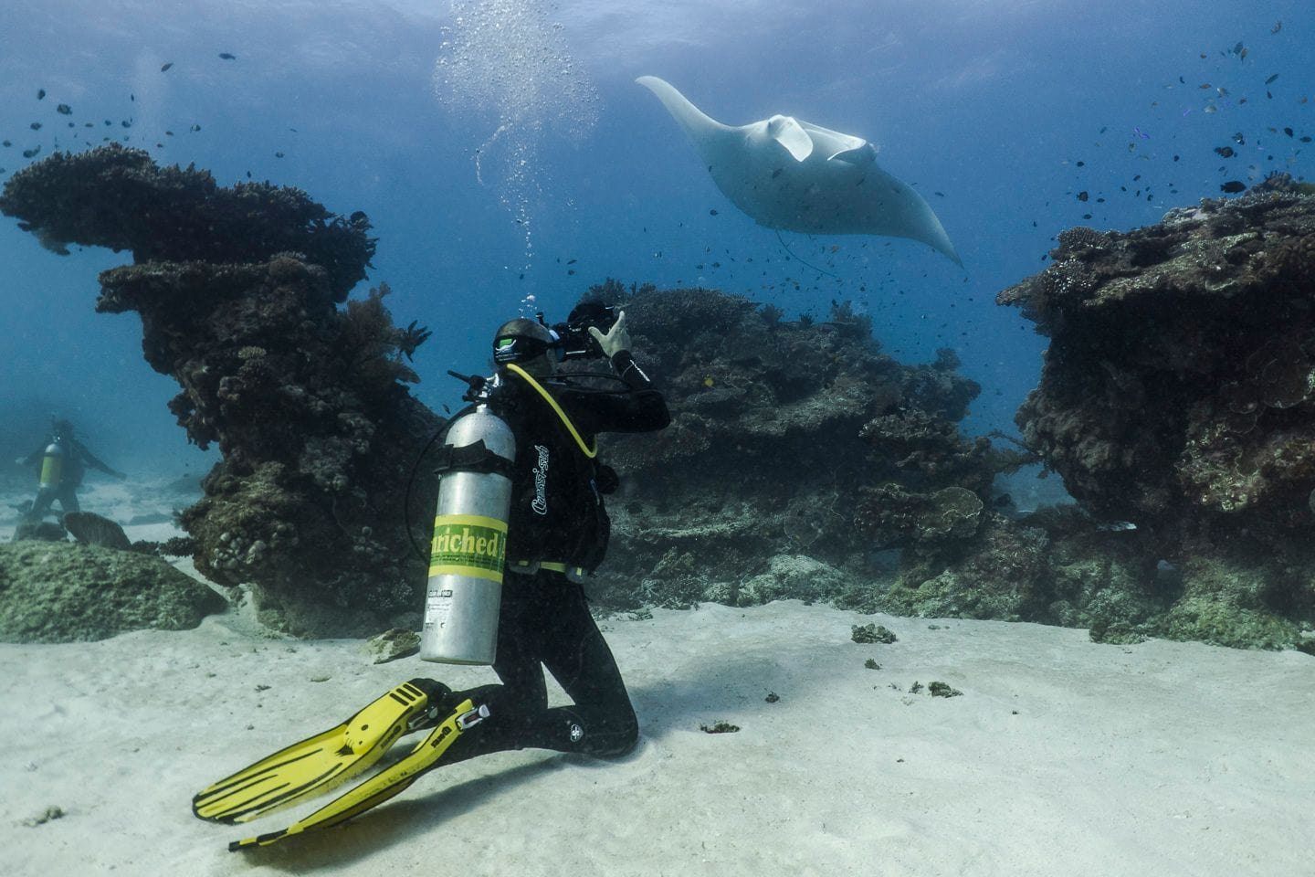 Scuba diver photographing manta ray (photo credit Amelia Armstrong)