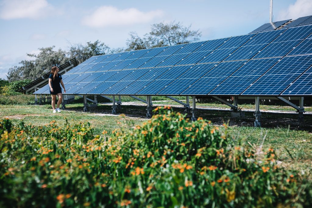 Continuous panels being added to the solar grid