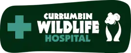 Currumbin Wildlife Hospital