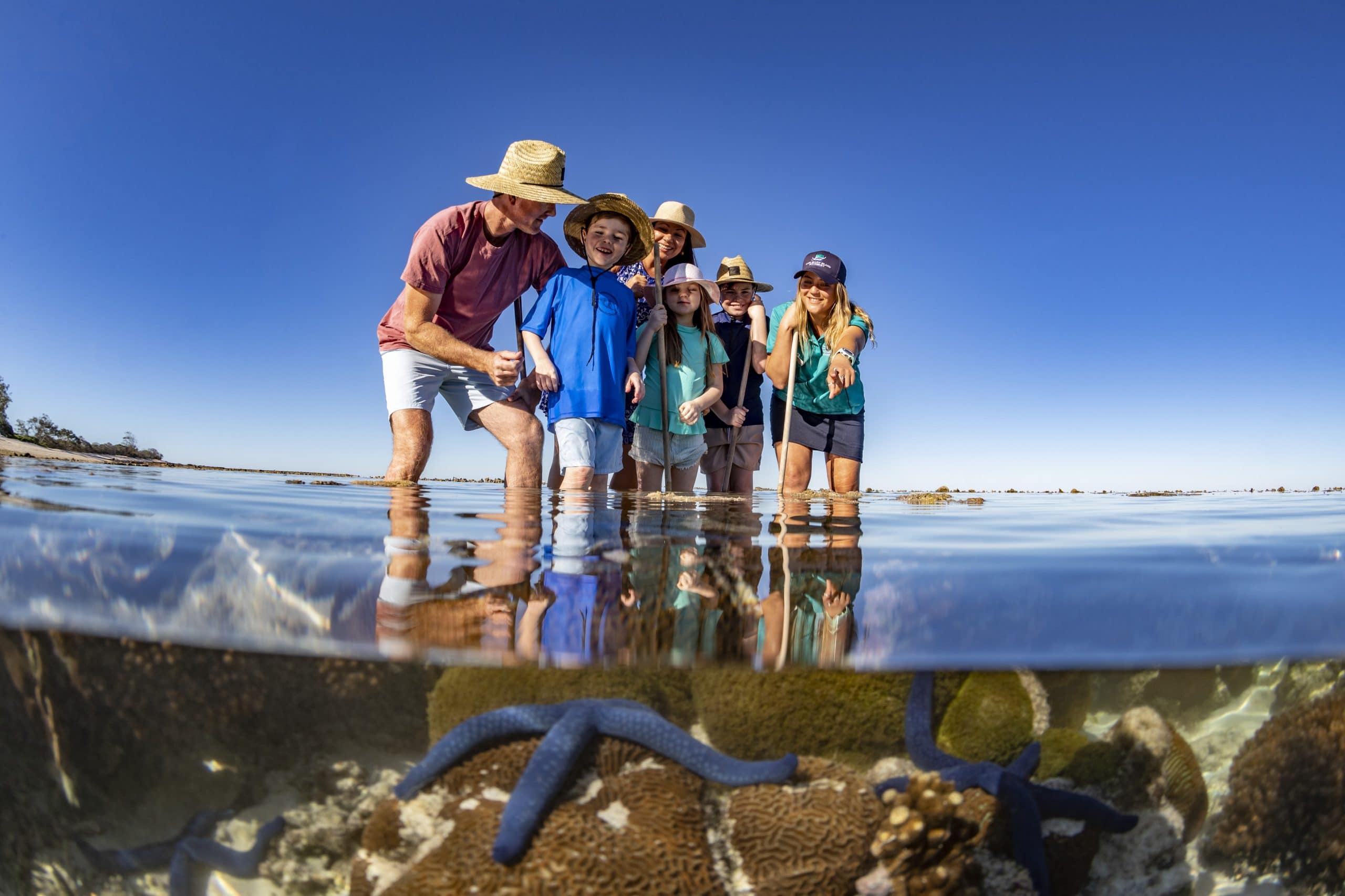 Exploring the Great Barrier Reef