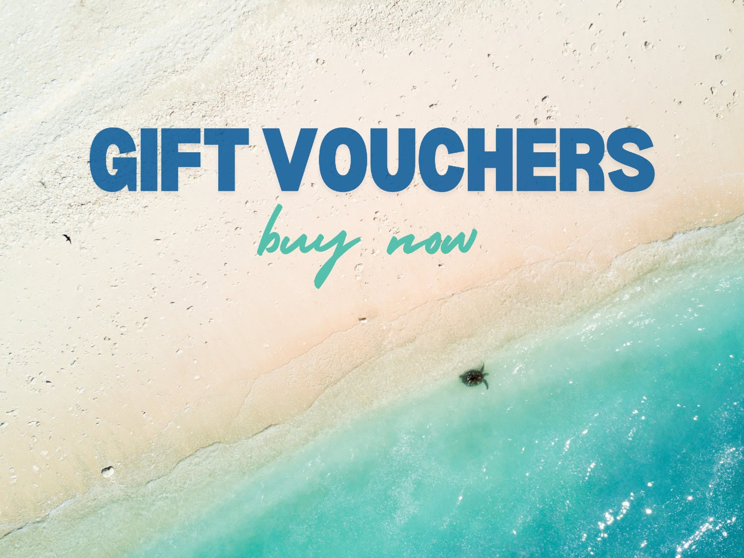 Buy Lady Elliot Island gift vouchers