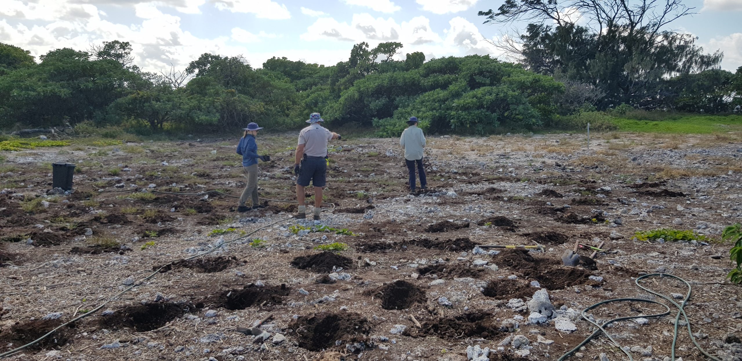 Volunteers preparing holes for the Northeast grassland.
