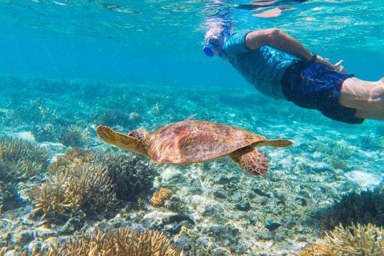 Peter Gash Snorkelling