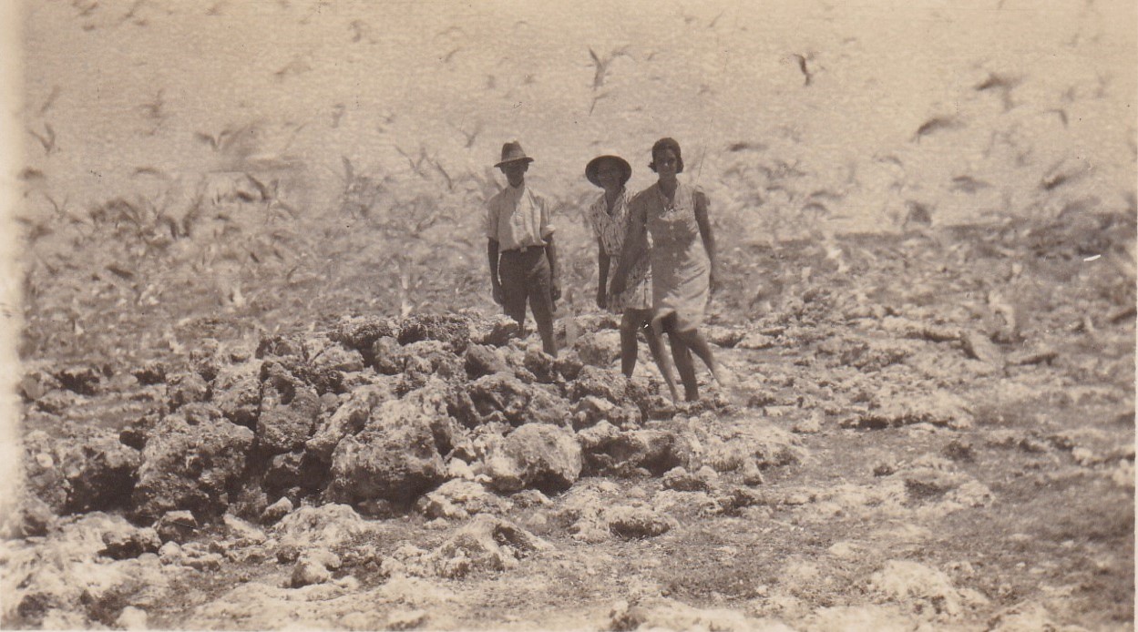 Lady Elliot Island Circa 1939