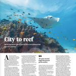 City to reef: See the Great Barrier Reef on a day trip from a luxury Brisbane hotel