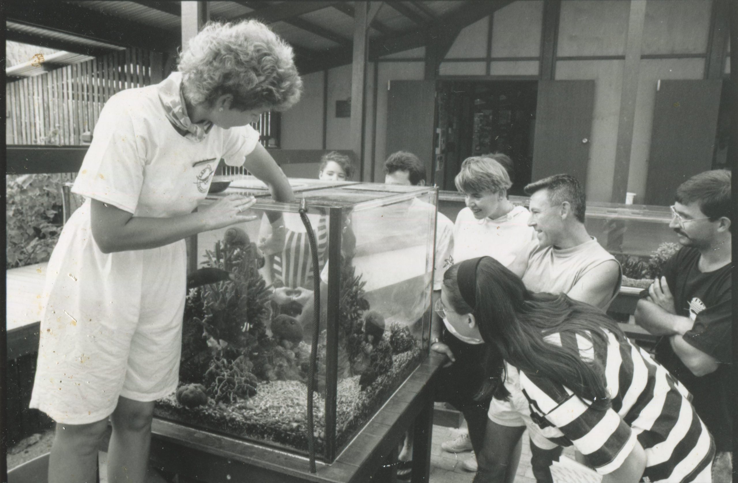 Reef Education 1980s