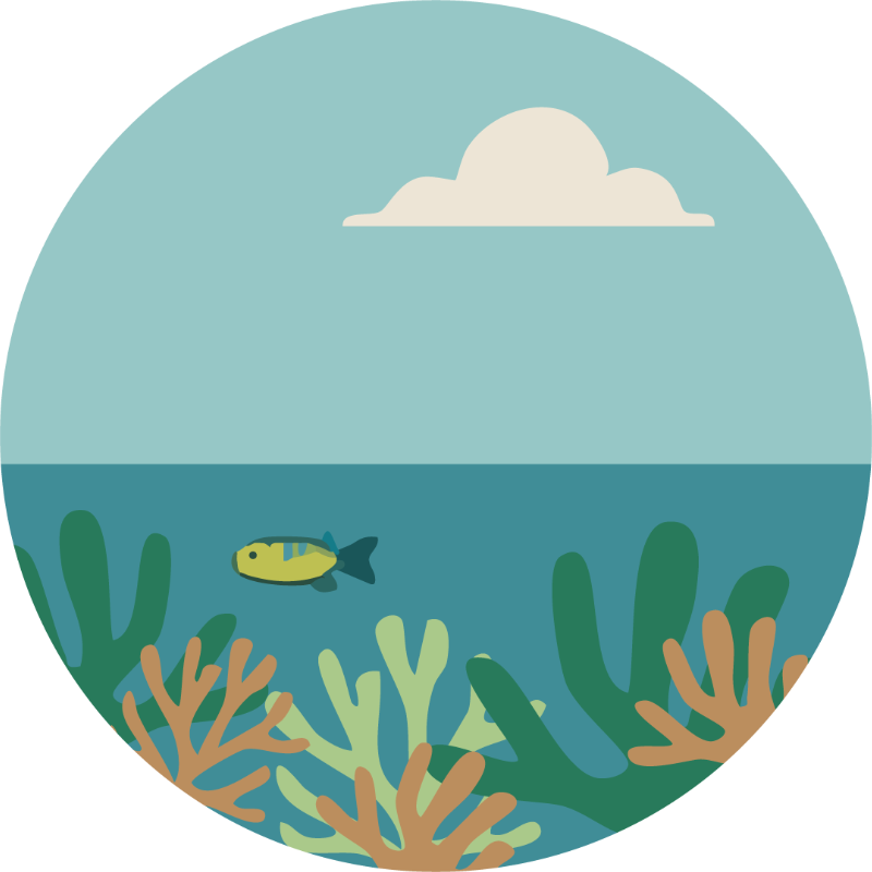 Reef Base