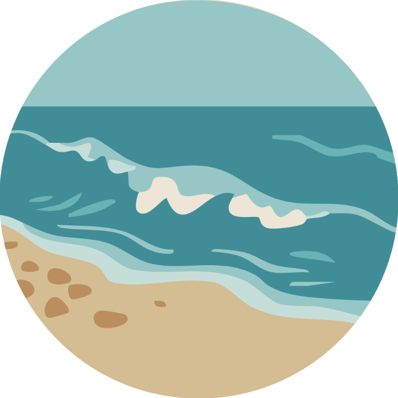 Time and Waves