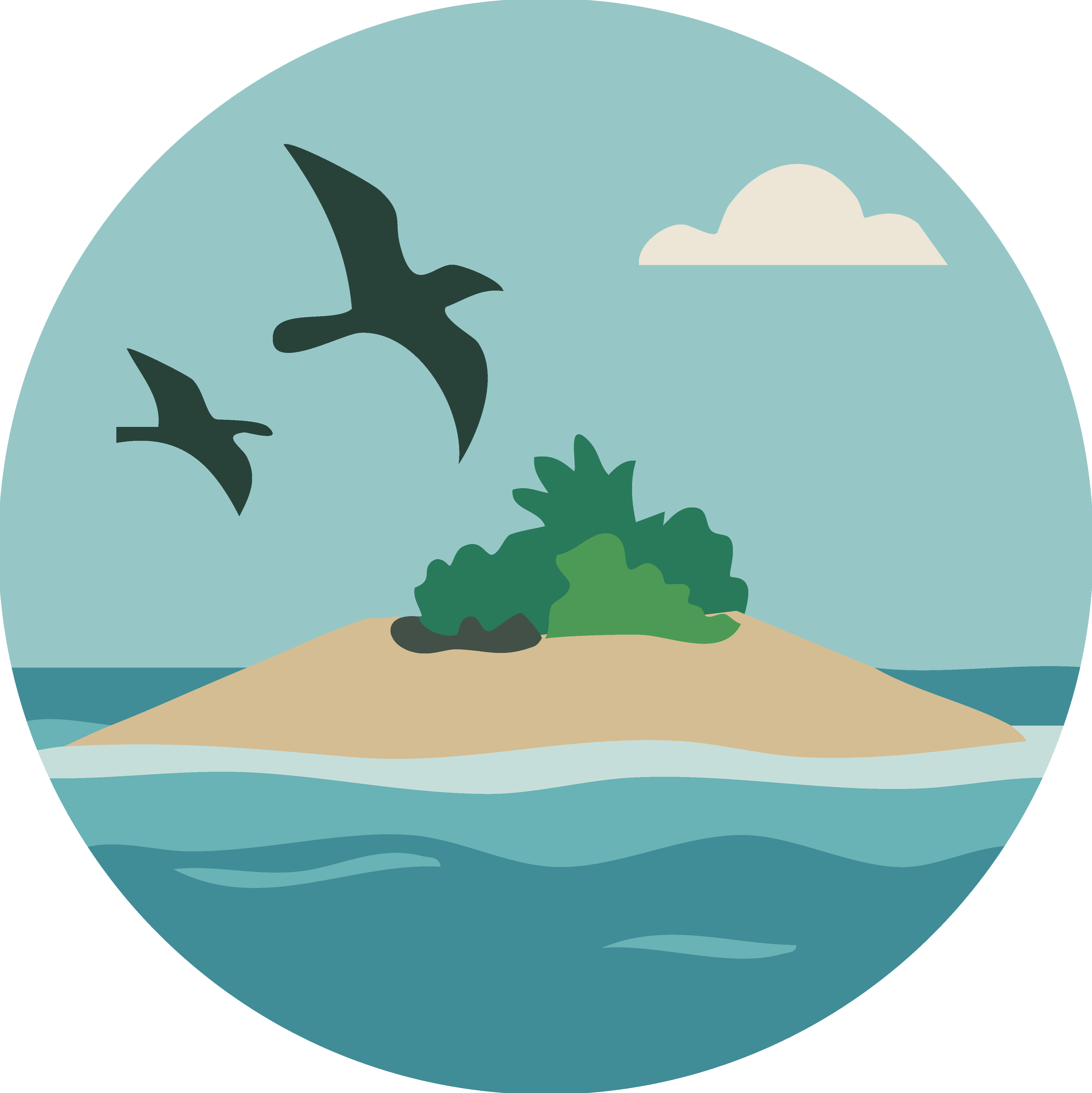 Seeds and Seabirds