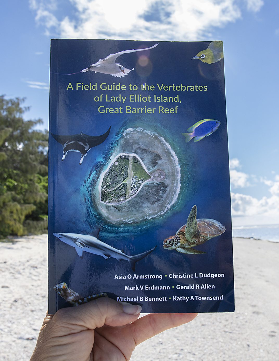 Field Guide to Vertebrates of Lady Elliot Island